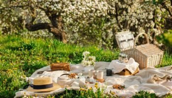 Summer Picnic and BBQ Tips with CKD