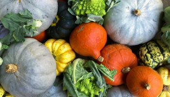 Festive Fall Food Choices for Kidney Health 